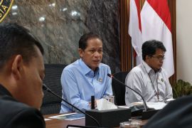 Wamenko Pangan: Food estate Kalteng diperkuat manajemen risiko