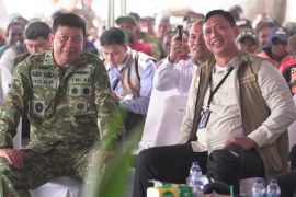 Bulog&nbsp;expands rice procurement in South Papua