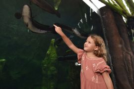Marine Safari Bali cocok untuk liburan sekolah
