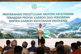 Menko Pangan: Pasar karbon harus memberi manfaat bagi masyarakat hutan