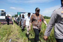 Pemkab Kediri gandeng Pertamina dan PLN jaga pengairan lahan pertanian