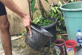 Bandarlampung targetkan zero kematian akibat DBD