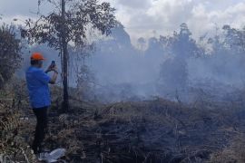 BPBD prioritaskan tangani&nbsp;karhutla di kawasan terdekat Bandara Sampit
