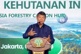 Hashim: Perdagangan karbon kehutanan dukung target penurunan emisi RI