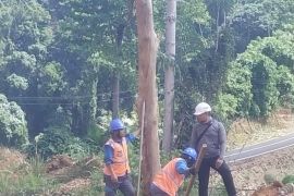 PLN respons cepat gangguan jaringan di Halmahera Selatan dan pastikan transparansi layanan tambah daya melalui PLN Mobile