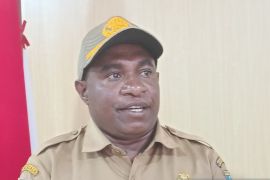 Pemprov Papua Pegunungan berencana ekspor kopi