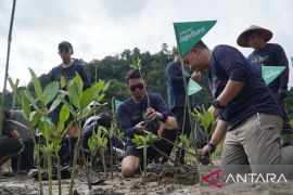 Telkomsel Jaga Bumi tanam 3.000 mangrove, perkuat ketahanan Pesisir berkelanjutan