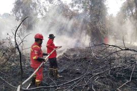 Kemenhut kerahkan tim Manggala Agni padamkan kebakaran lahan di Aceh