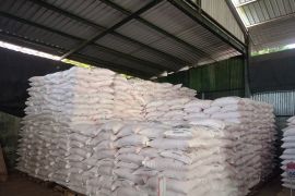 Pemkab Blitar sebut realisasi penyaluran pupuk bersubsidi 55 persen