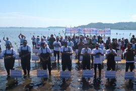 Freeport tuntaskan rehabilitasi 484 hektare mangrove di NTB