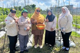 Wabup Kotim turun temui petani dukung pengembangan hortikultura