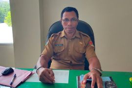 Pemkab Sikka mendorong pustakawan jadi fasilitator informasi digital