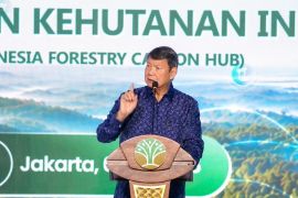 Hashim nilai penambahan polhut dukung program kehutanan berkelanjutan