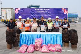 JICT dukung percepat penyelesaian "longstay" demi logistik efisien