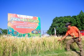 Pemkab Gunungkidul mendorong petani terapkan pertanian ramah lingkungan