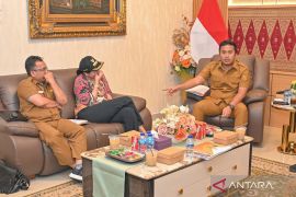 Sumbar kaji peluang tiga daerah jadi pusat ekonomi PSN baru