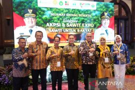 Ria Norsan usulkan DBH sawit Rp100 per kilogram TBS