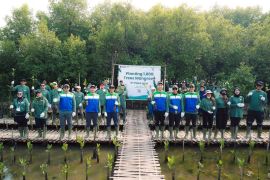 Patra Jasa tanam 1.000 bibit mangrove guna perkuat ketahanan pesisir