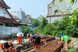 FKM UI manfaatkan lahan terbengkalai jadi urban farming di Cipayung Jaktim