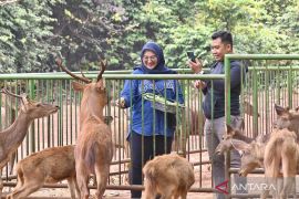 Dishut Kalsel perkuat perlindungan habitat satwa di Tahura Sultan Adam