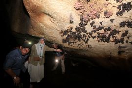 Indonesia to date Meratus cave art in Australia's lab tests