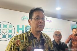 Indonesia pushes D-8 partnership to expand halal economy