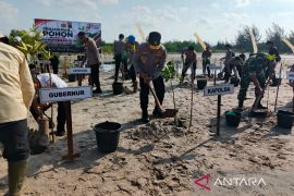 Polda Babel tanam 3.000 pohon di lahan kritis Pantai Rebo