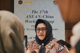 DIY kenalkan potensi budaya pariwisata kepada delegasi ASEAN dan China