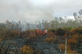 Polda: Personel lakukan penanganan cepat karhutla di Distrik Tomage Fakfak