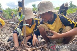 Tangan-tangan kecil penjaga riwayat hayati pesisir