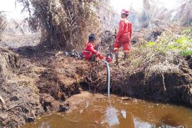 Kebakaran lahan di Aceh Selatan meluas capai 25 hektare