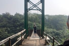 Jembatan Gantung Rawayan Tarumanagara yang ekstrem namun eksotik di Bogor