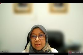 ESDM dorong akses listrik tenaga surya untuk wilayah terpencil