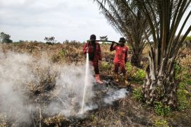Dua hari Manggala Agni tuntas pemadaman kebakaran lahan di Pekanbaru
