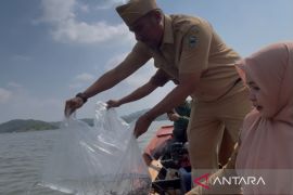 Pemkab Kuningan tebar 100 ribu benih ikan di bendungan sebagai usaha jaga ekosistem