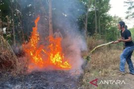 Cimahi tegaskan larangan bakar sampah cegah kebakaran saat kemarau