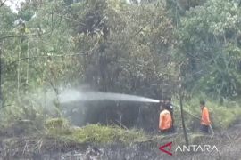 BPBD: Kebakaran lahan di Muaro Jambi meluas jadi lima titik