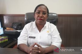 Disnakeswan Mimika sebut pabrik pakan pacu peningkatan produksi ayam lokal