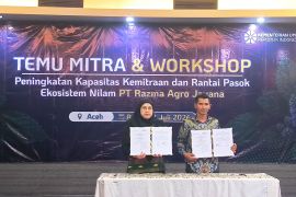Kementerian UMKM gandeng PT Razma Agro Jayana jadi holding UMKM nilam Aceh