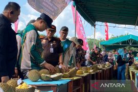 Pemprov Babel manfaatkan kontes durian untuk promosi desa wisata