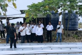 Bupati Lampung Timur tinjau Smart Farming cabai, langkah nyata modernisasi pertanian