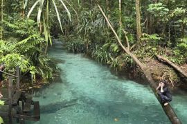 Raja Ampat, Surga di Timur yang mengajarkan arti kepatuhan pajak