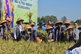 BULOG dan Komisi IV DPR bersinergi dukung kesejahteraan petani di Klaten