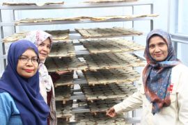 TPM UNAND hadirkan Dome Pengeringan Kerupuk tingkatkan produk lokal di Agam