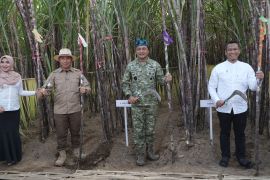 PT SGN perkuat ekosistem industri gula nasional