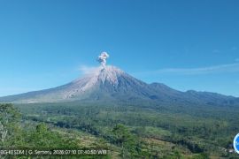 Gunung semeru erupsi enam kali dengan tinggi letusan hingga 1,3 km