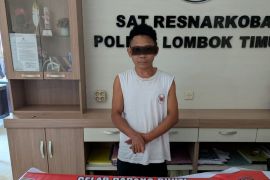Polisi Lombok Timur tangkap pengedar Sabu 33,45 Gram
