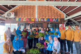 Warga Pulau Harapan diminta bertanam penuhi kebutuhan sayur harian