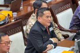 IKPI: pembentukan PFII tidak cukup hanya andalkan insentif perpajakan