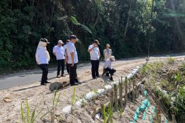 Lampung pasang turap bambu di ruas batas Liwa-Sumsel